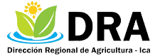 Dirección Regional Agraria de Ica